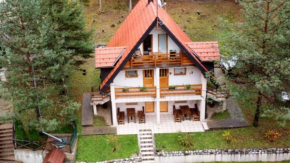 Vila Borovi